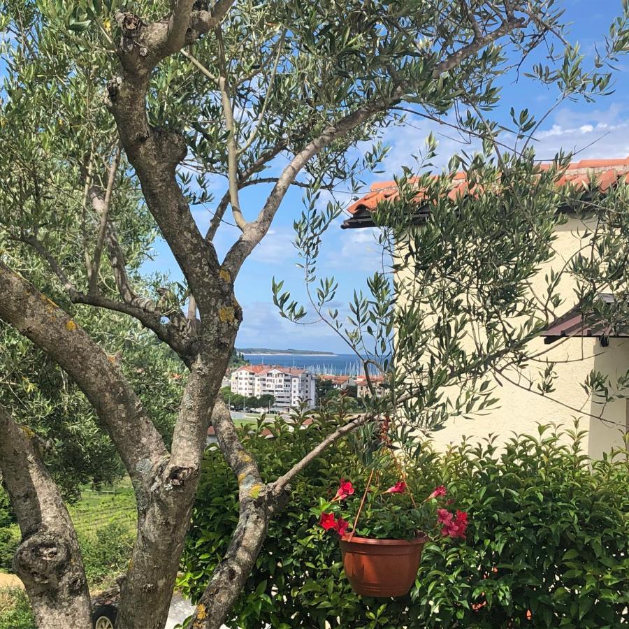 Residence Villa Fiore Portorož Esterno foto